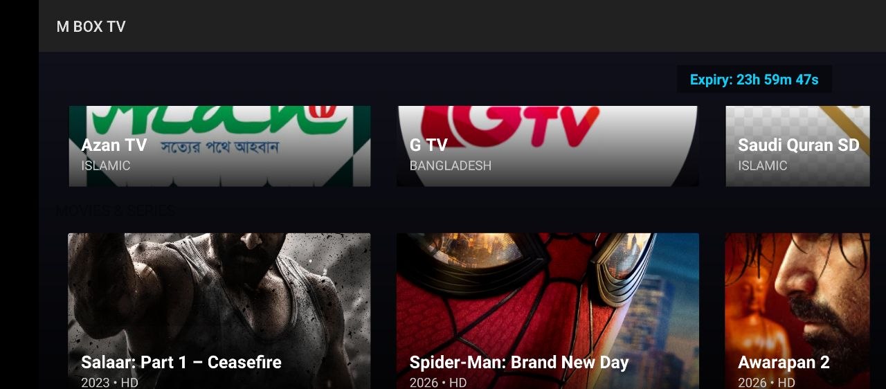 TV Interface Preview